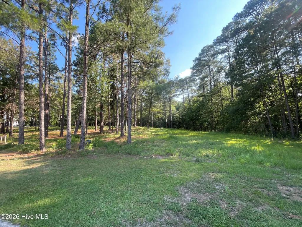 231 Meyer Farm Drive Pinehurst NC 28374