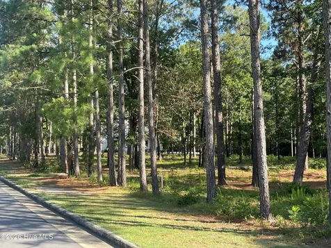 231 Meyer Farm Drive Pinehurst NC 28374