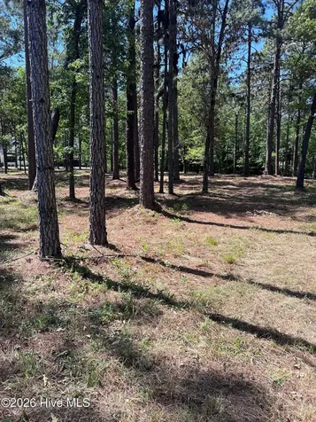 231 Meyer Farm Drive Pinehurst NC 28374