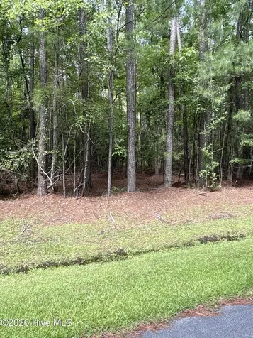 45 Headwaters Drive Oriental NC 28571