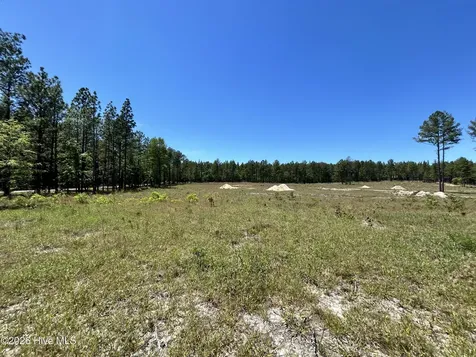 461 Lally Circle Aberdeen NC 28315