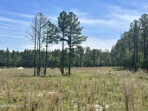 461 Lally Circle Aberdeen NC 28315