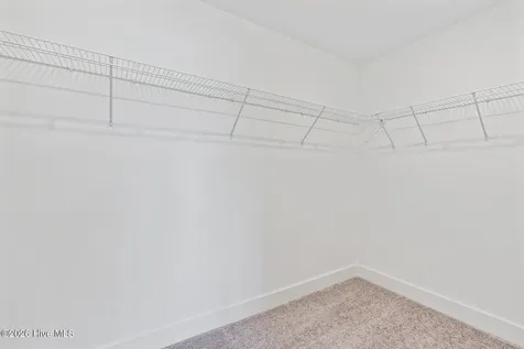 230 Umbrella Palm Drive Hampstead NC 28443