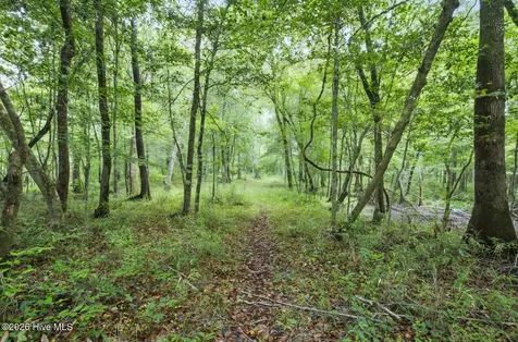 857 Mill River Road Jacksonville NC 28540