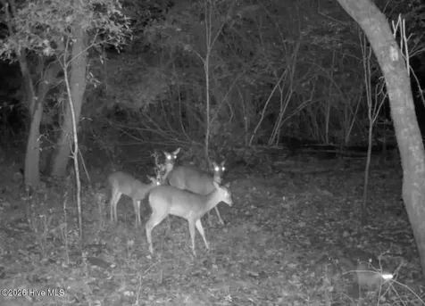 857 Mill River Road Jacksonville NC 28540