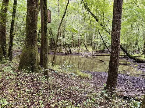 857 Mill River Road Jacksonville NC 28540