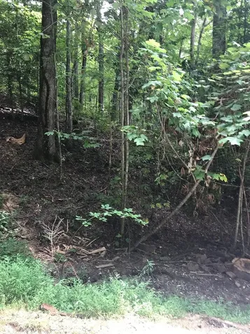 Lot 8 Vista Loop Road Topton NC 28781