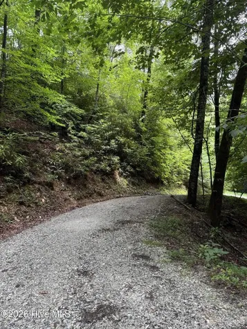 Lot 8 Vista Loop Road Topton NC 28781