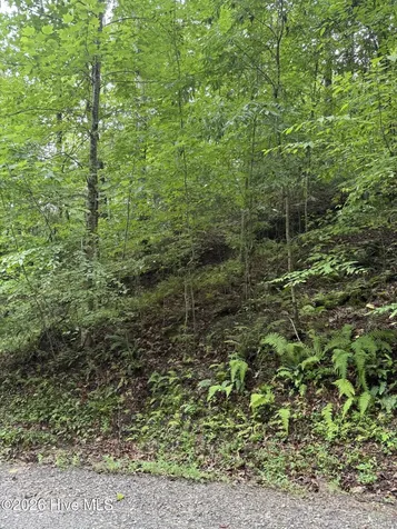 Lot 8 Vista Loop Road Topton NC 28781
