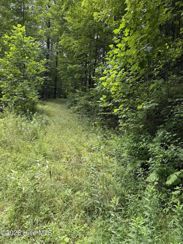 Lot 4 Outlook Road Murphy NC 28906