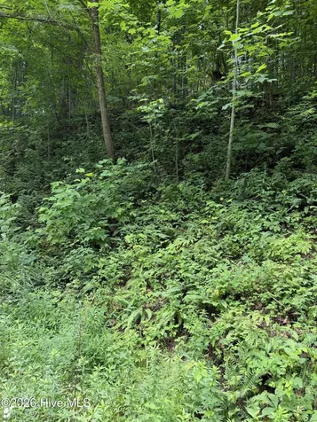 Lot 4 Outlook Road Murphy NC 28906
