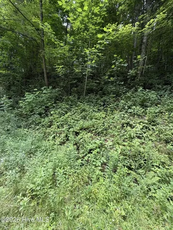 Lot 4 Outlook Road Murphy NC 28906