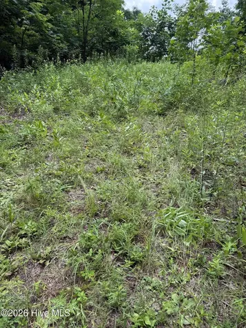 Lot 4 Outlook Road Murphy NC 28906