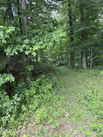 Lot 4 Outlook Road Murphy NC 28906