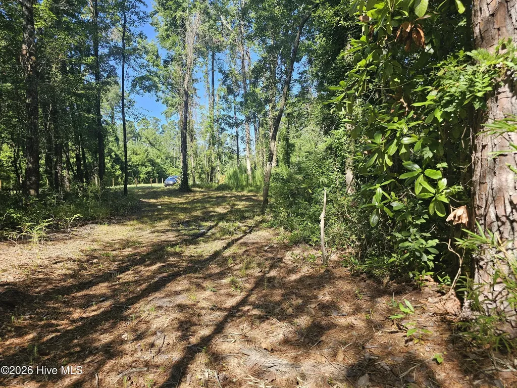 4278 Us 117 Highway S Burgaw NC 28425