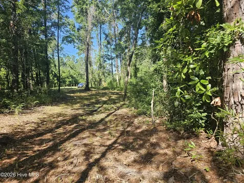 4278 Us 117 Highway S Burgaw NC 28425