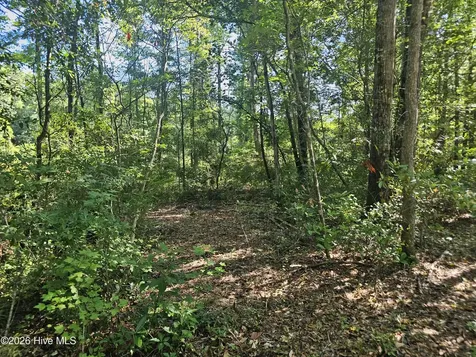 4278 Us 117 Highway S Burgaw NC 28425