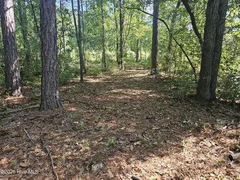 4278 Us 117 Highway S Burgaw NC 28425