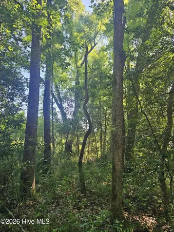 4278 Us 117 Highway S Burgaw NC 28425