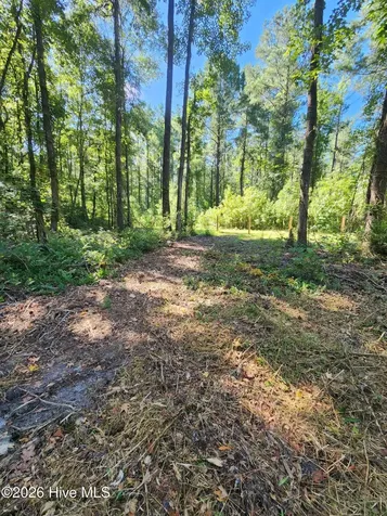 4278 Us 117 Highway S Burgaw NC 28425