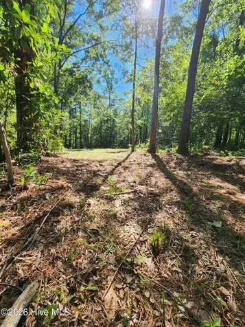 4278 Us 117 Highway S Burgaw NC 28425