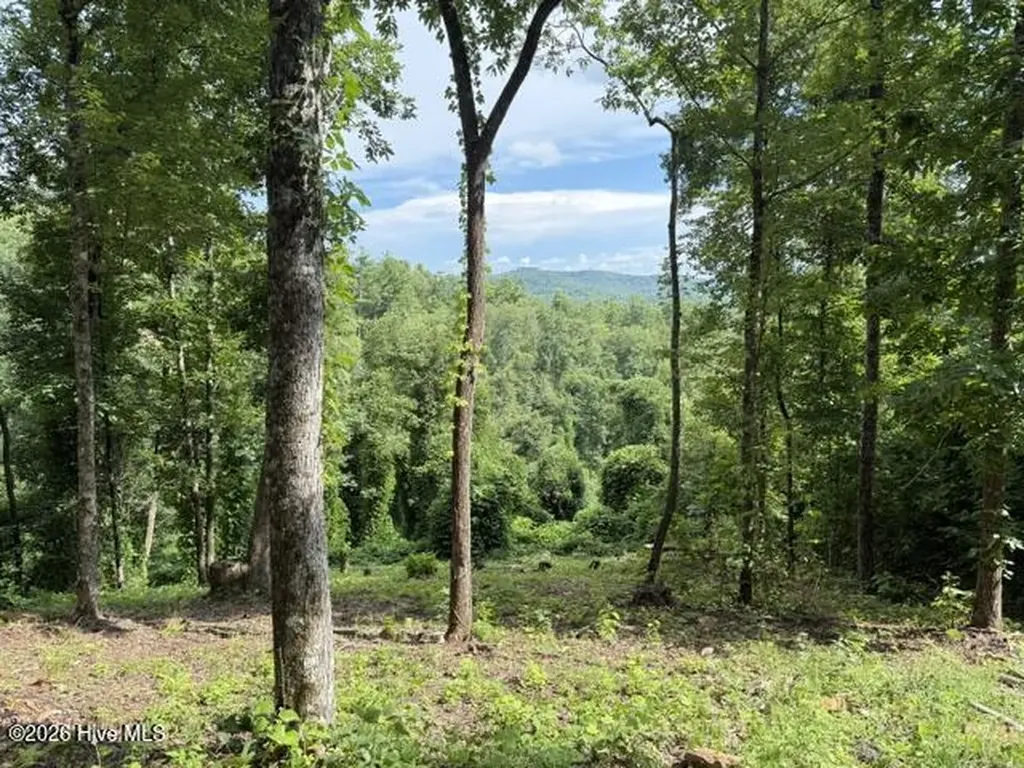 Lot 25 Bryson Creek Drive Murphy NC 28906