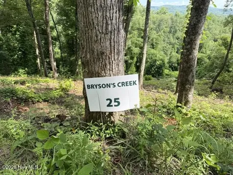 Lot 25 Bryson Creek Drive Murphy NC 28906