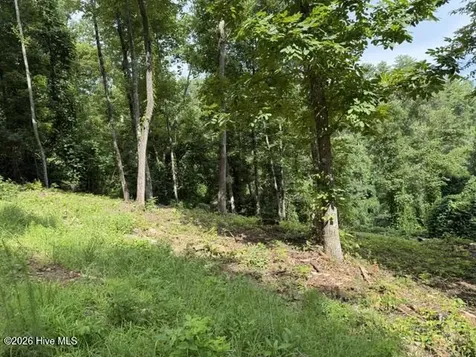 Lot 25 Bryson Creek Drive Murphy NC 28906