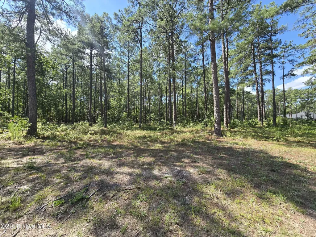 Tbd Peach Orchard Road Wagram NC 28396