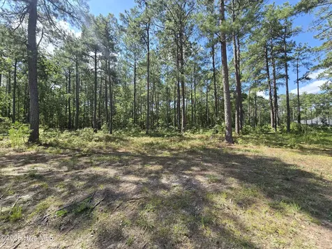 Tbd Peach Orchard Road Wagram NC 28396