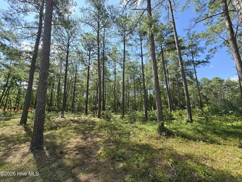 Tbd Peach Orchard Road Wagram NC 28396