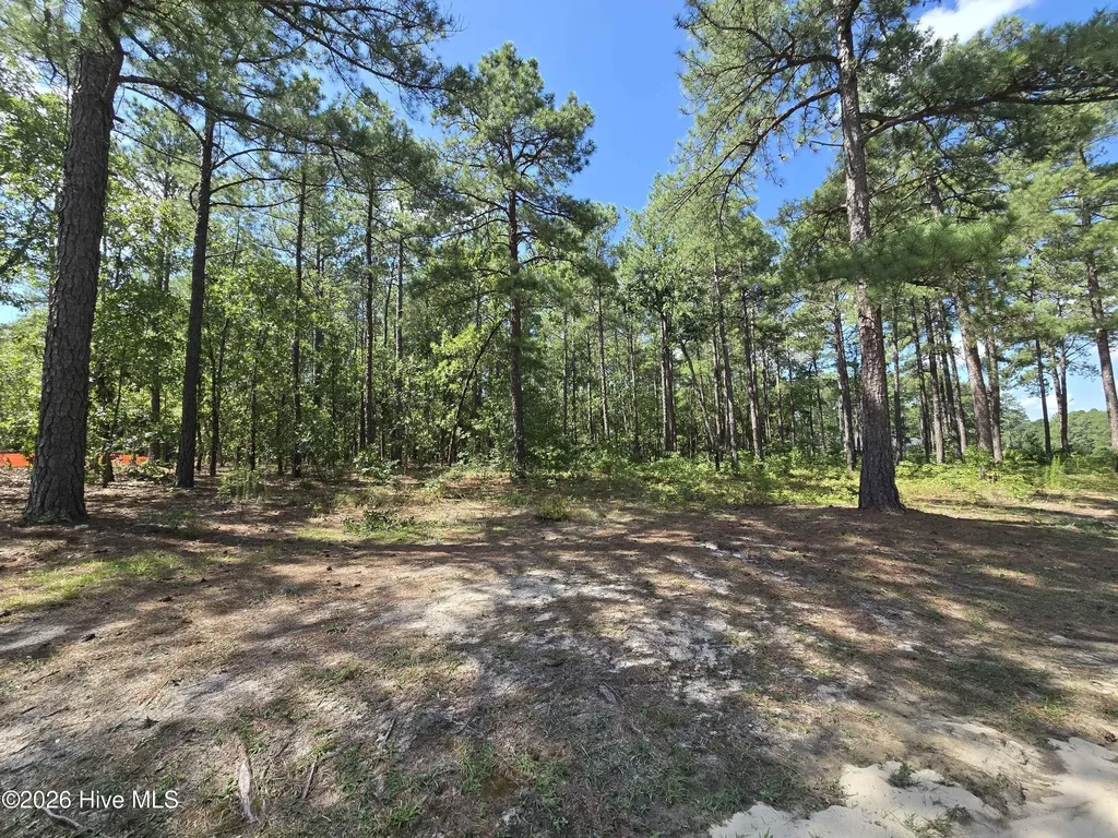 Tbd Peach Orchard Road Wagram NC 28396