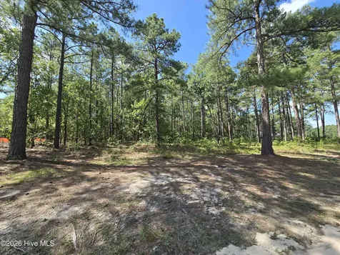 Tbd Peach Orchard Road Wagram NC 28396