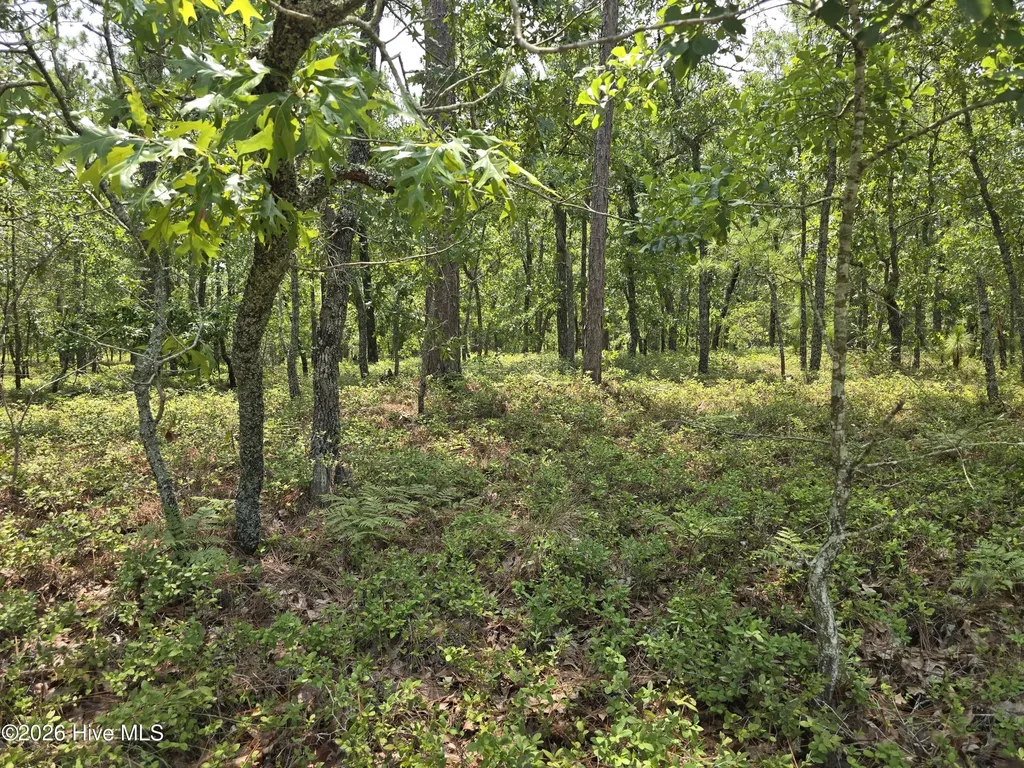 Lot 10 Woola Woola Lane Grantsboro NC 28529