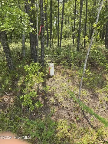 Lot 10 Woola Woola Lane Grantsboro NC 28529