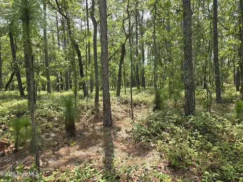 Lot 10 Woola Woola Lane Grantsboro NC 28529