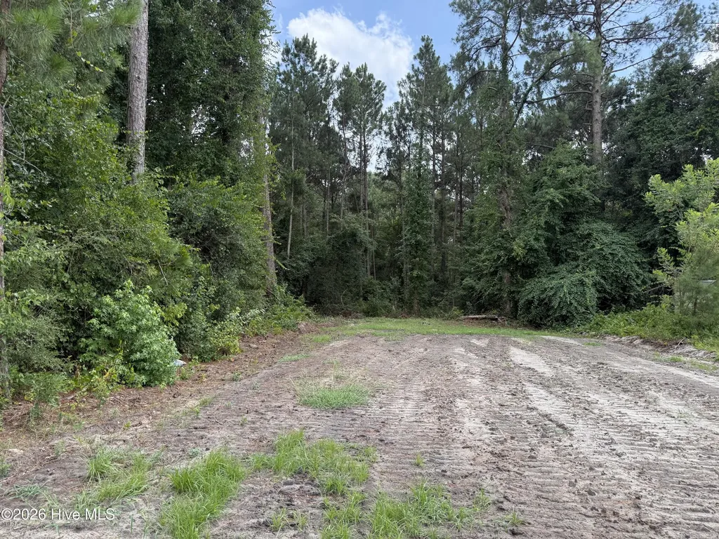 0 Grays Lane Elizabethtown NC 28337