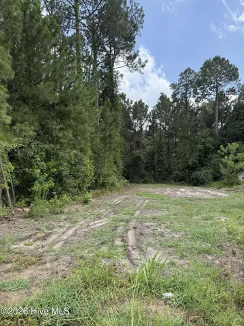 0 Grays Lane Elizabethtown NC 28337