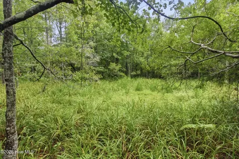 305 Tropical Trail Beaufort NC 28516