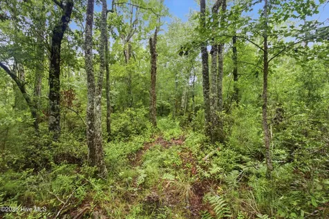305 Tropical Trail Beaufort NC 28516
