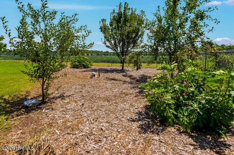 22329 Nc Highway 55 Oriental NC 28571
