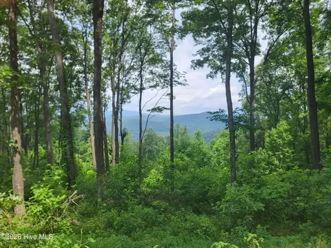 Lot 81 Scenic Mountain Way Murphy NC 28906