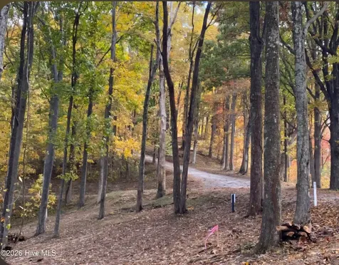 Lot 81 Scenic Mountain Way Murphy NC 28906