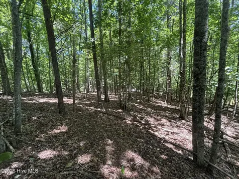 52A Pine Cove Lane Murphy NC 28906