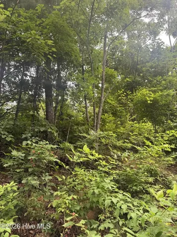 78 Lt 78 Pitch Pine Drive Sylva NC 28779