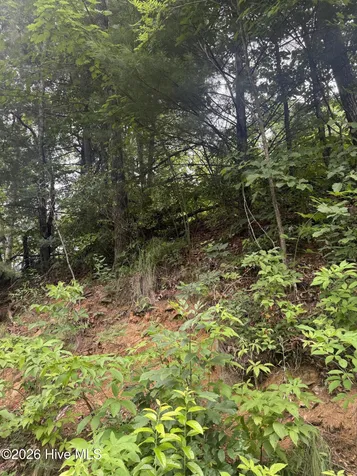 78 Lt 78 Pitch Pine Drive Sylva NC 28779