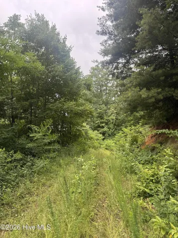 78 Lt 78 Pitch Pine Drive Sylva NC 28779