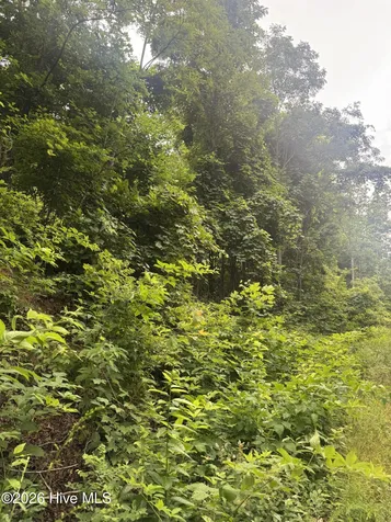78 Lt 78 Pitch Pine Drive Sylva NC 28779