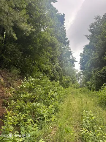 78 Lt 78 Pitch Pine Drive Sylva NC 28779