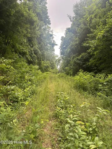 78 Lt 78 Pitch Pine Drive Sylva NC 28779